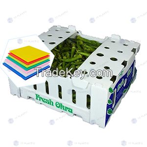 7kg Polypropylene Corrugated Plastic Okra boxes
