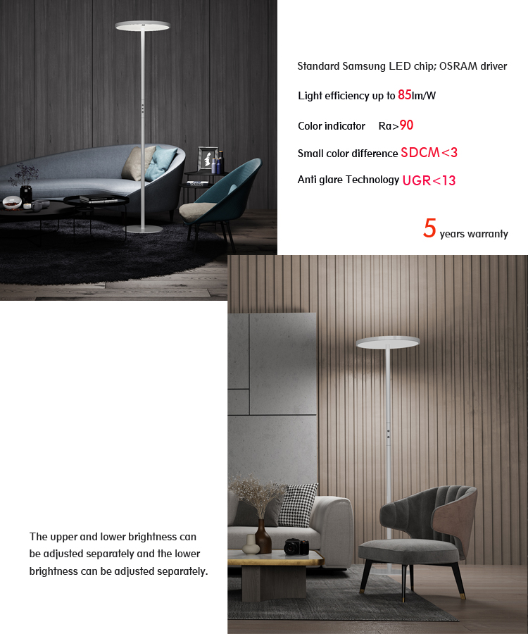 Floor Lamp E802 Premium Edition