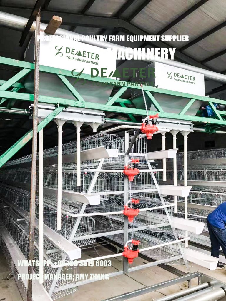 Layer Chicken Cage for Poultry Farm Equipment