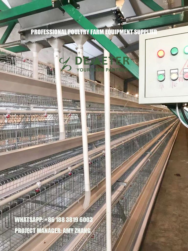 Layer Chicken Cage for Poultry Farm Equipment