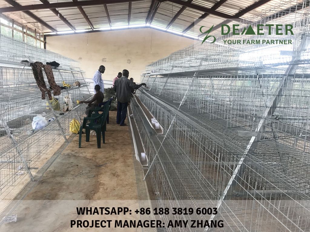 Chicken Cage Automatic System for Africa Poultry Farm