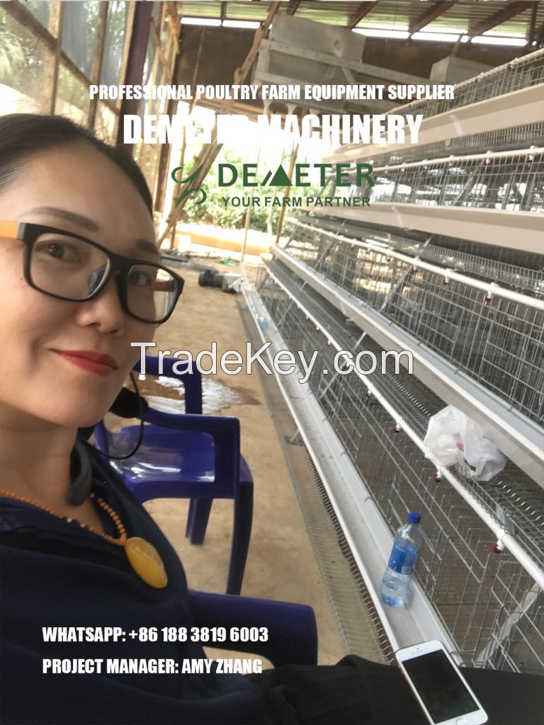 Poultry farming layer chicken cage
