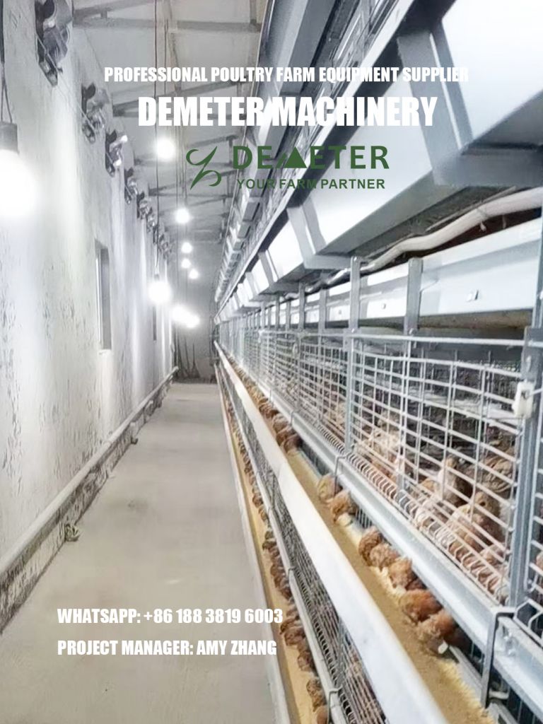 H type fully automatic layer chicken cage for poultry farming equipment