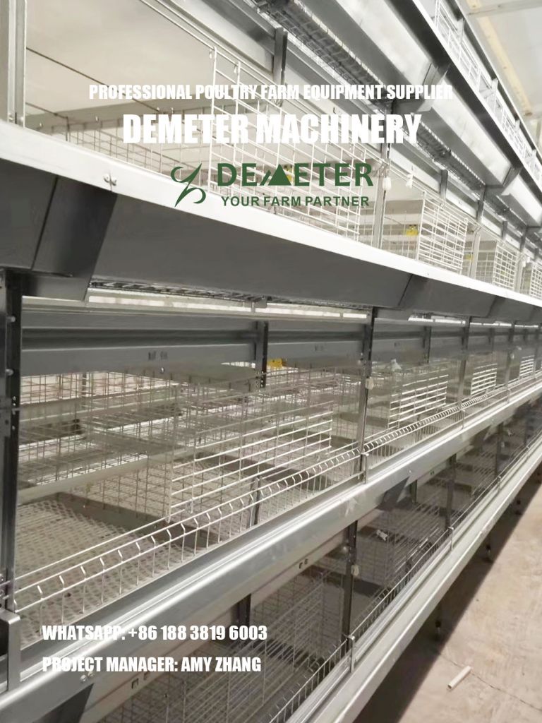 Automatic pullet chicken cage for poultry farm for sale in Zambia