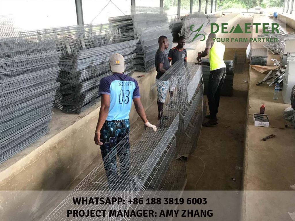 A type 4 tier chicken layer cages for sale in nigeria