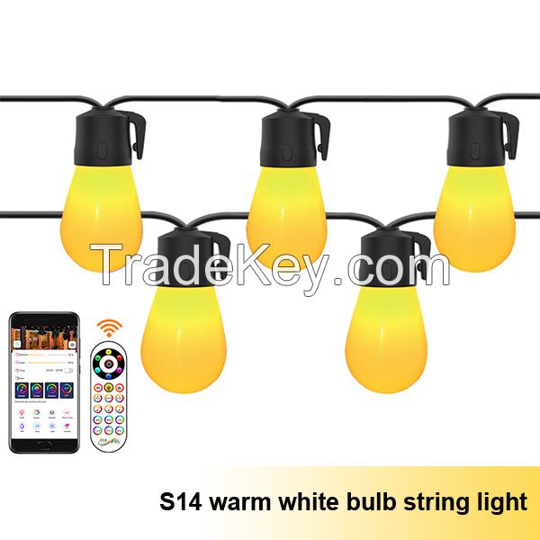 Bluetooth Warm White Bulb String Light