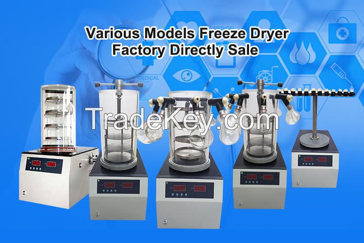 best emergency food storage commercial freeze dryer for fruit and vegetable