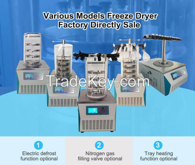 benchtop vacuum freeze dryer lyophilizer equipment for fruit and vegetable and herbal
