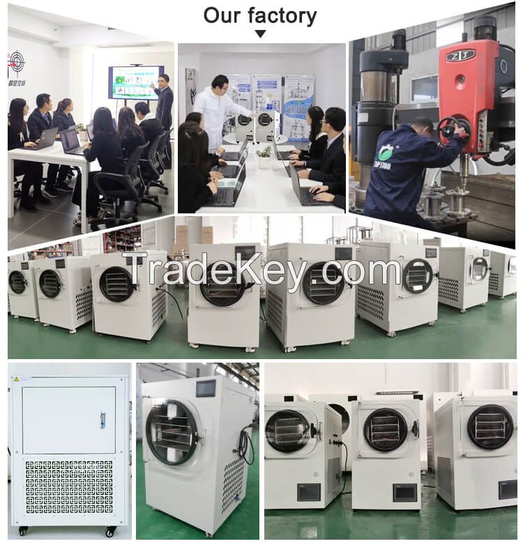 low cost affordable home food freeze dryer lyophilizer equipment for fruit and vegetable and herbal and pet food