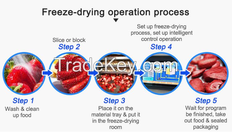 low cost affordable home food freeze dryer lyophilizer equipment for fruit and vegetable and herbal and pet food