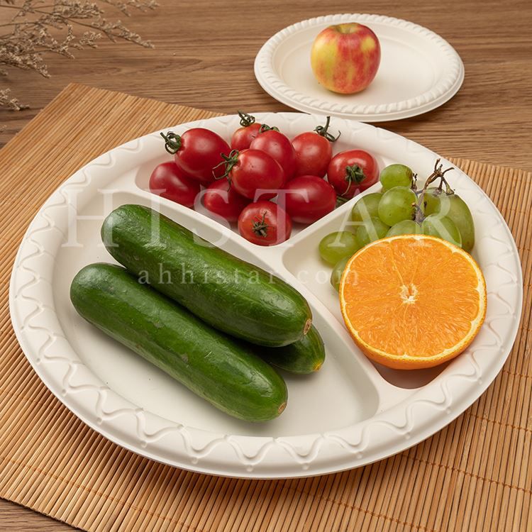 Environmentally friendly disposable biodegradable corn starch dinner plates