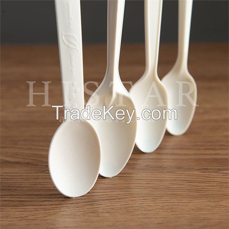 Disposable ice cream spoon biodegradable eco-friendly food scoop