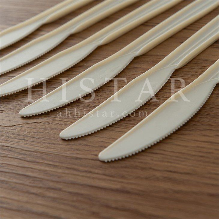 Wholesale disposable biodegradable food knife environmentally friendly dessert knife