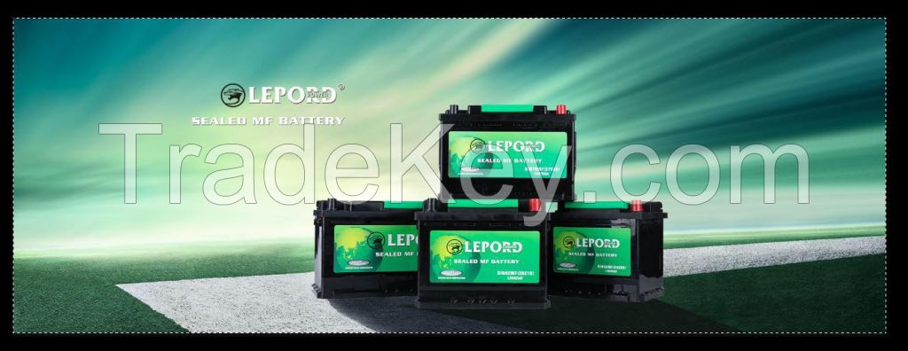 LEPORD Auto battery