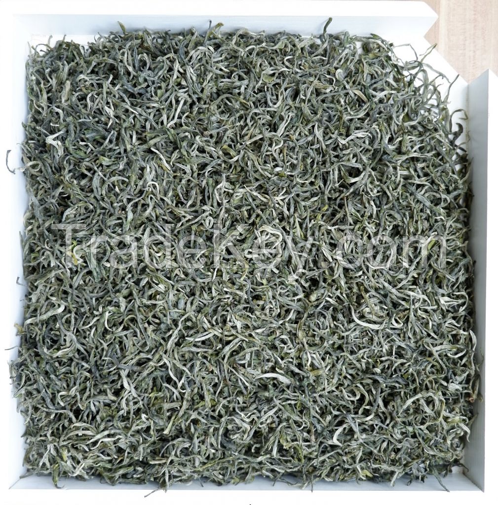 EU Organic Premium Tip Twisted Maofeng Green Tea  