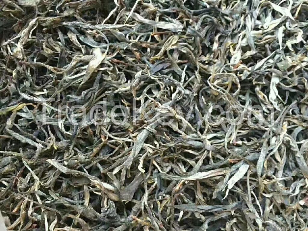 EU Organic Yunnan Maocha Loose green Sheng Raw Puer tea