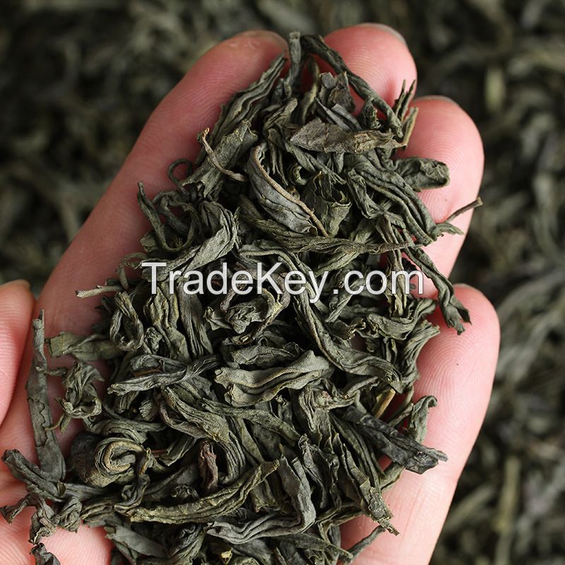 Wholesale Bulk EU Standard #4 Yunnan High Mountain Steamed Enzyme Green Tea with Low Tea Price