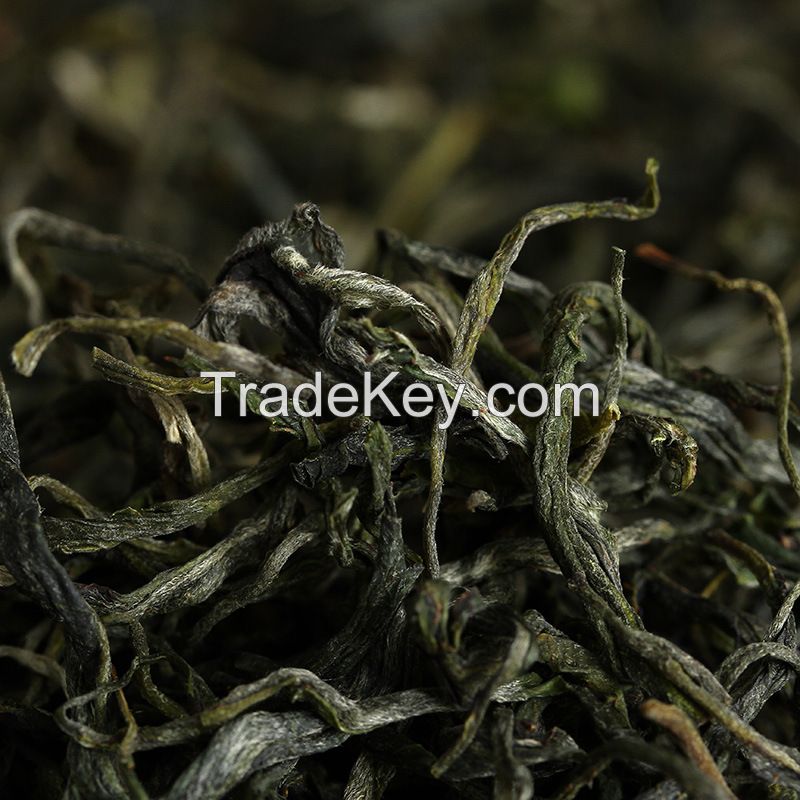 Factory Supply EU Standard #2 Chinese Health Yunnan Mao Feng Twisted Loose Leaf Green Tea