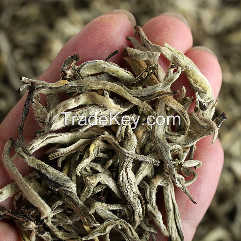 Wholesale Chinese Health Yunnan High Mountain Big Leave Xuelong Whole Pure Tip Spring Green Tea