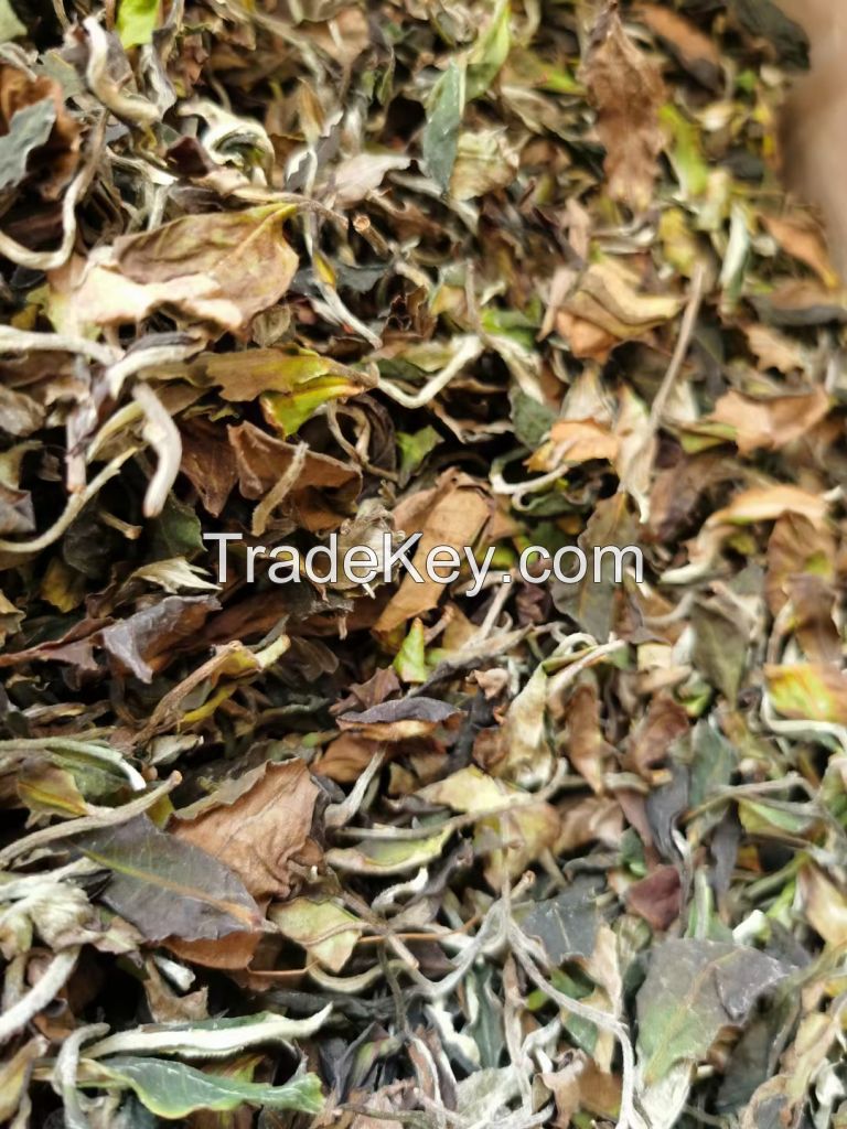 Factory Supply EU Standard White Peony Yunnan PaiMuDan White tea in Bulk