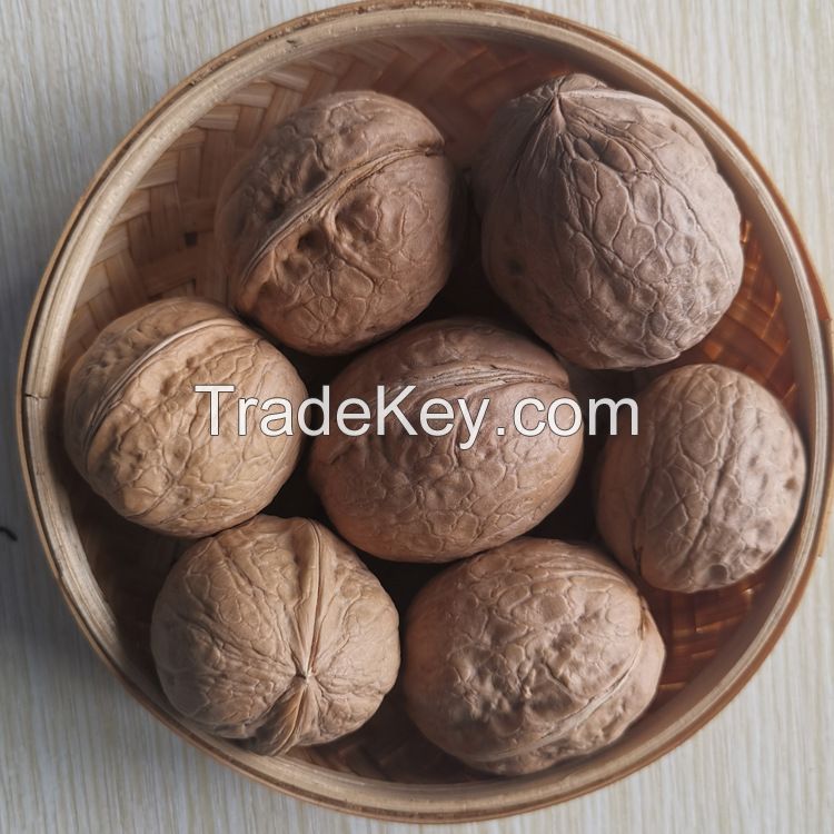 Wholesale Bulk Chineses Top Quality Organic 185 Dried Xinjiang Walnut