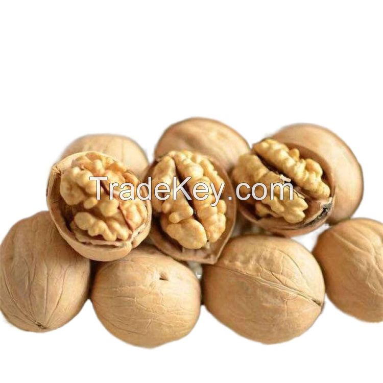 Wholesale Bulk Chineses Top Quality Organic 185 Dried Xinjiang Walnut