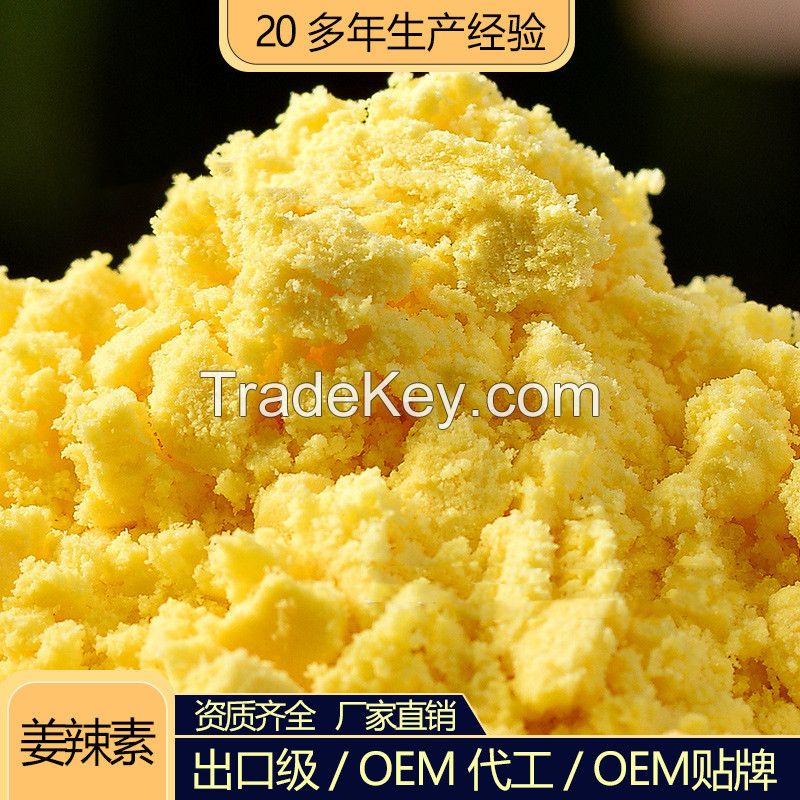 Chinese Manufacturer High Quality Natural Ginger Extract Powder Water Soluble Gingerol