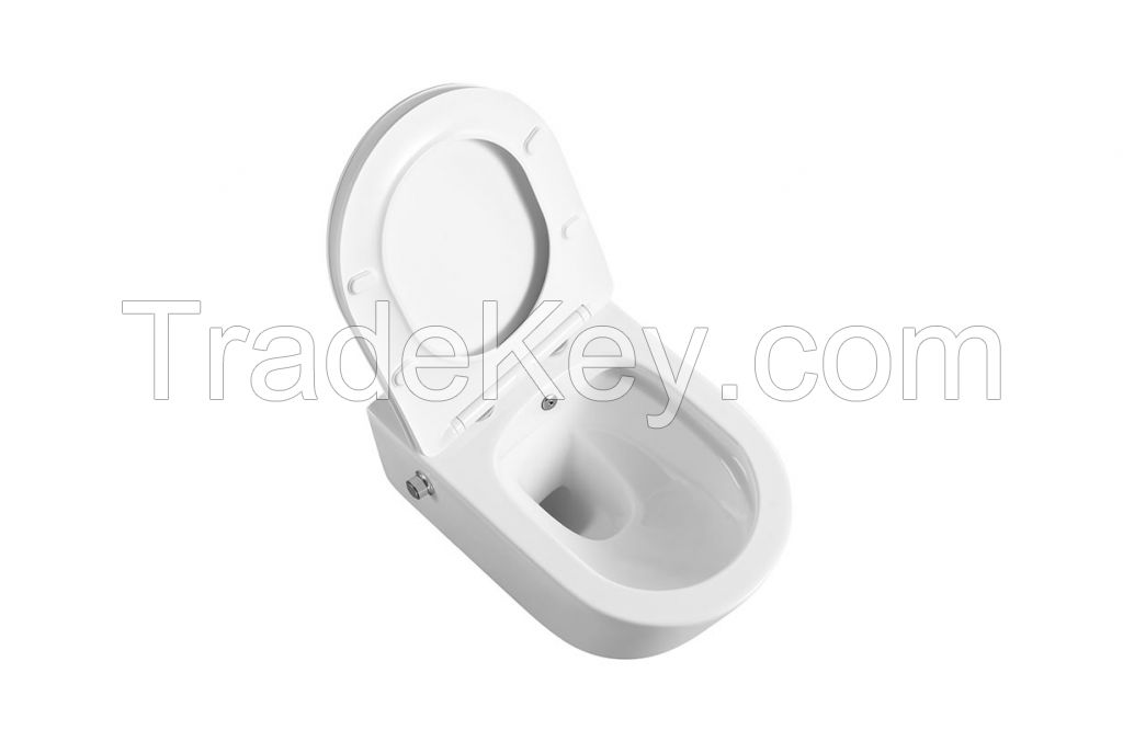 High quality sanitary ware washdownc ceramic wc European wall hung toilet with bidet