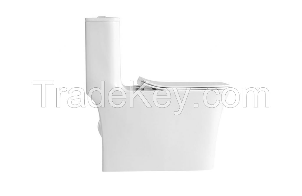 Sanitary wares white one piece washdown wc ceramic toilet with rimless