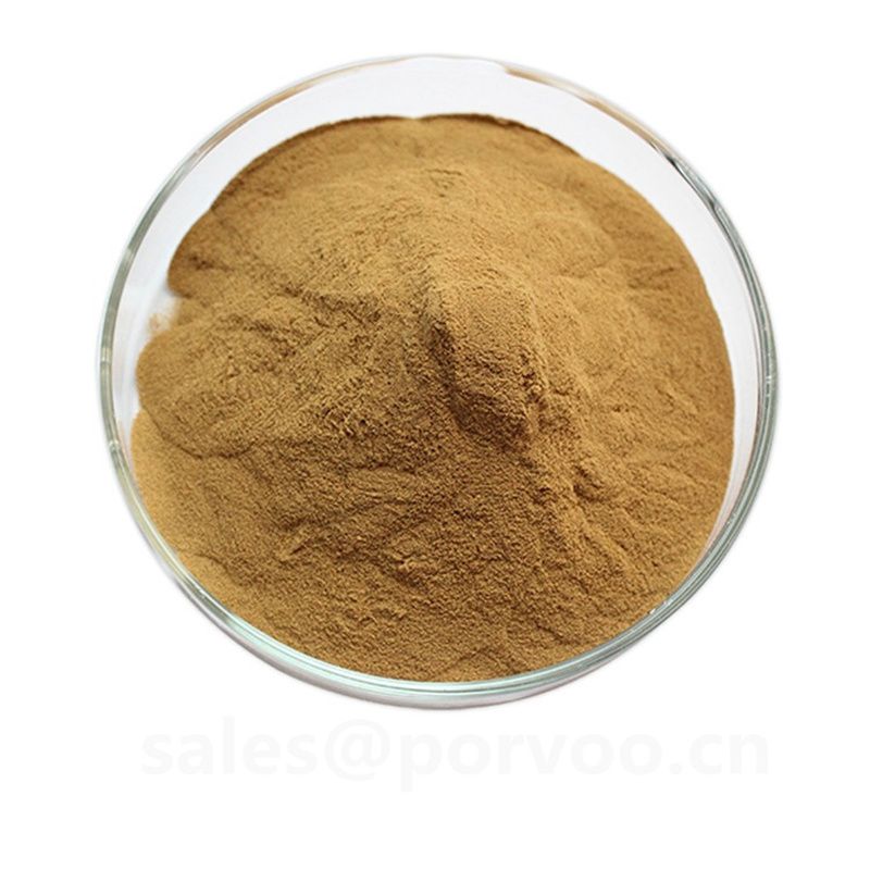 Wholesale Organic Ganoderma Extract, main functions of Ganoderma extract, Reishi mushroom Extract