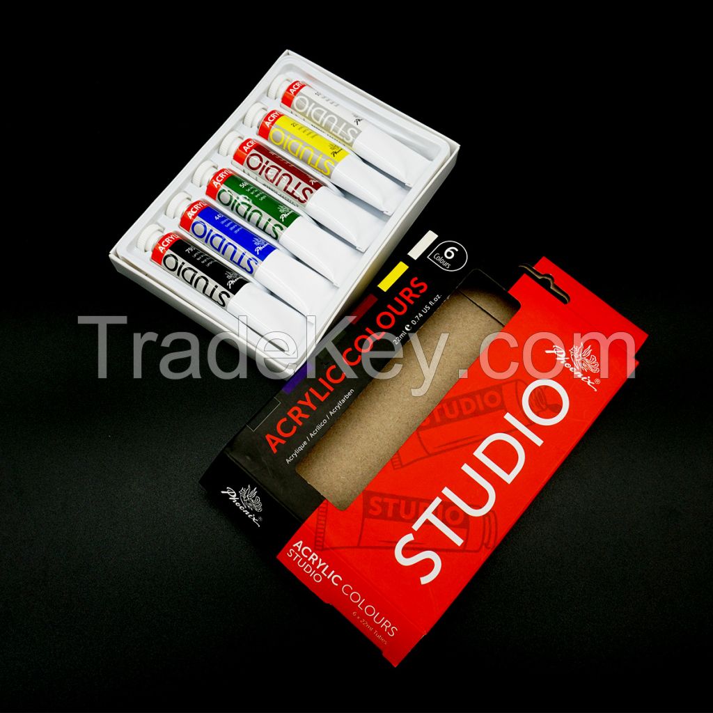 AP approved 2021 Hot Selling New Design Rich Color 6 Colors Acrylic Paint Set For Artist