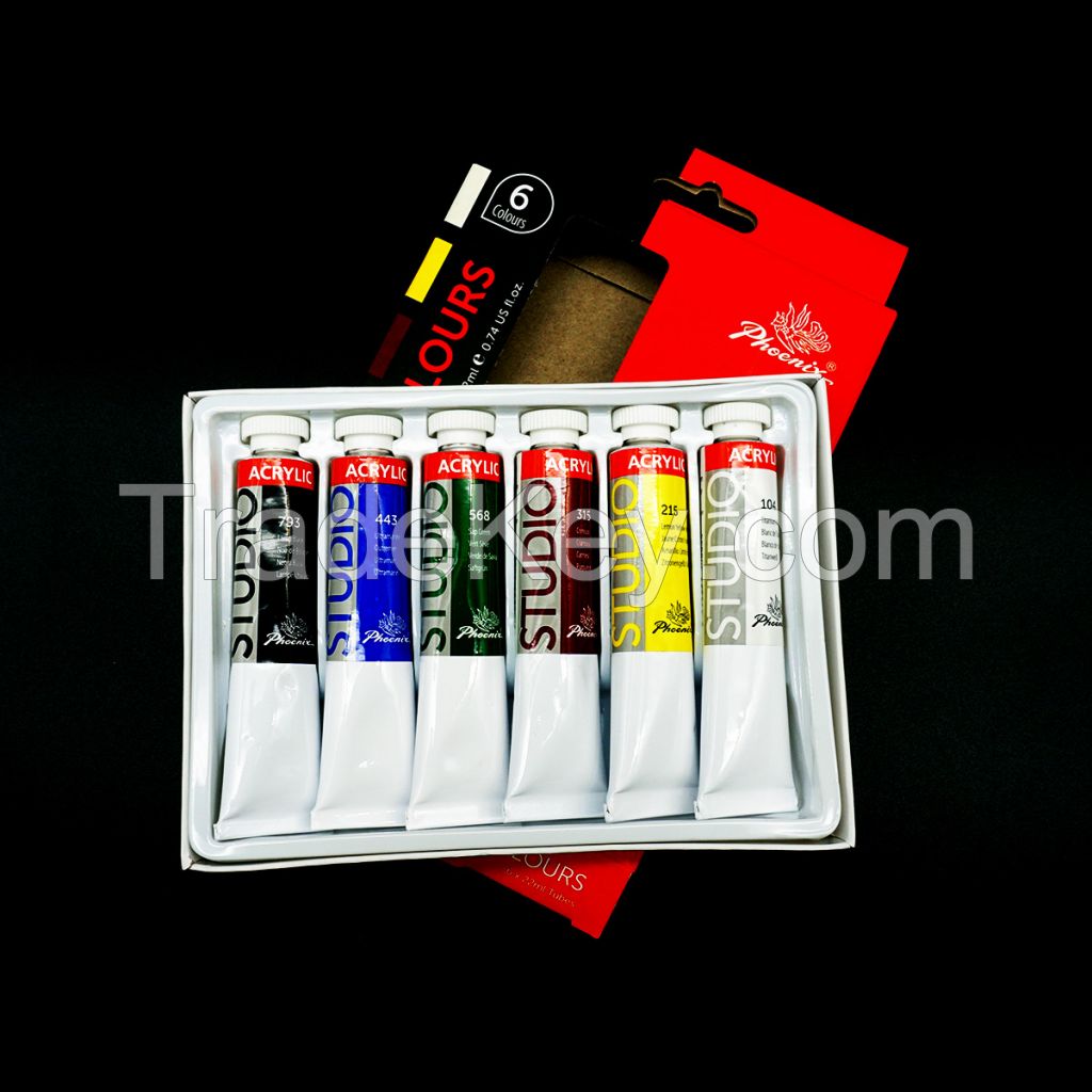 CE test Non-Toxic Artist Paint Set 6 Colors Acrylic Set In Cardboard Box with Acrylic Pad