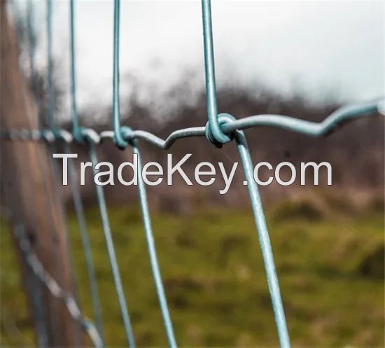 Mesh Cattle Galvanized Fixed Knot Wire Mesh Farm Fence High Quaility