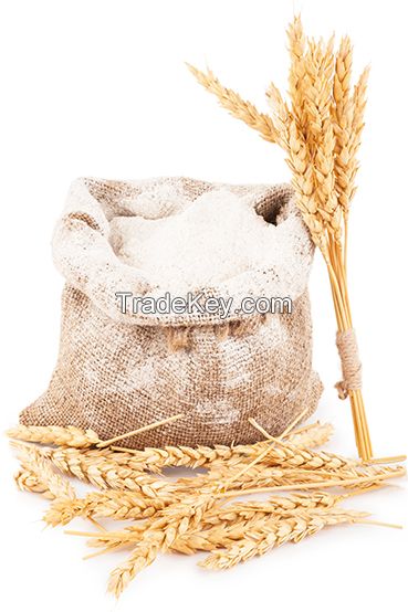 Vital wheat gluten from Tianjin Huge Roc Enterprises Co.,Ltd