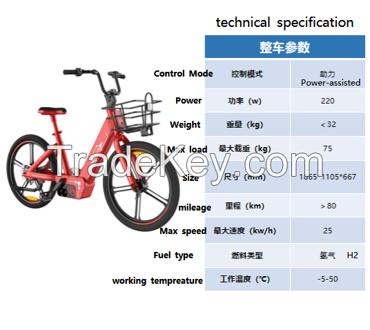 Exclusive private custom design  200W 300W 500W   hydrogen fuel cell  bike electrical bicycle