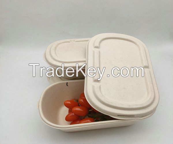 Disposable Sugarcane Bagasse Food Container With Lids
