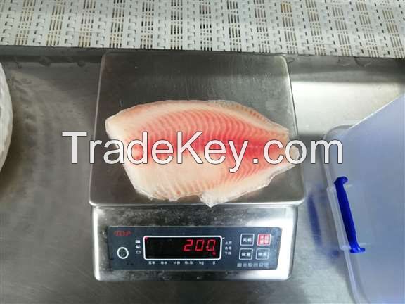 Frozen tilapia fillet