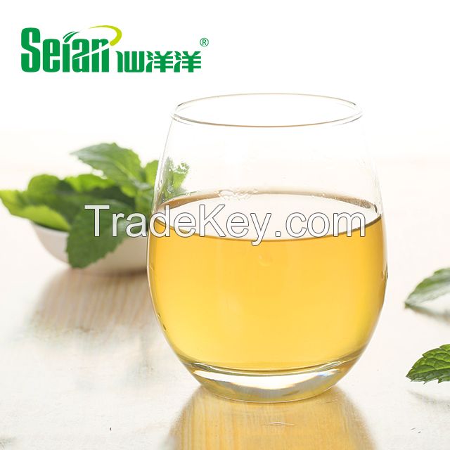 Factory Supply Natural and Multifunctional Peppermint Extract Powder for Health Care