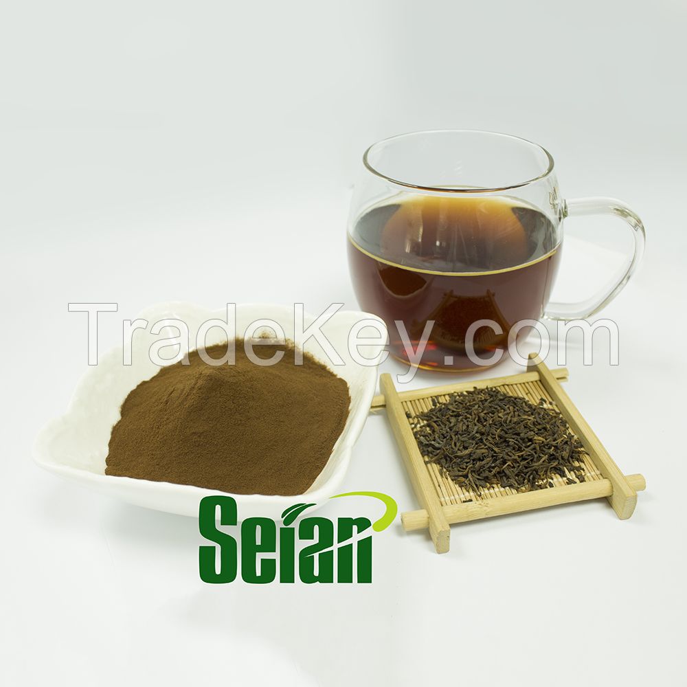 Hot Selling Plant Extracts Polyphenols Puer Tea Powder for Health Care