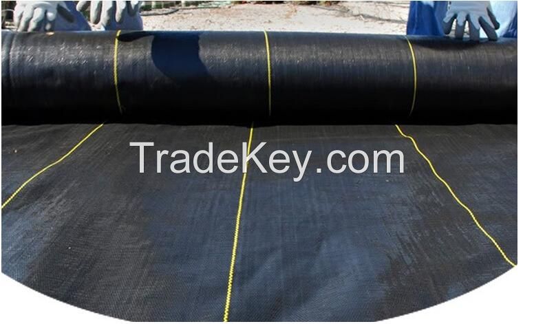 Heavy duty Uv resistance grass control cloth supply with factory price