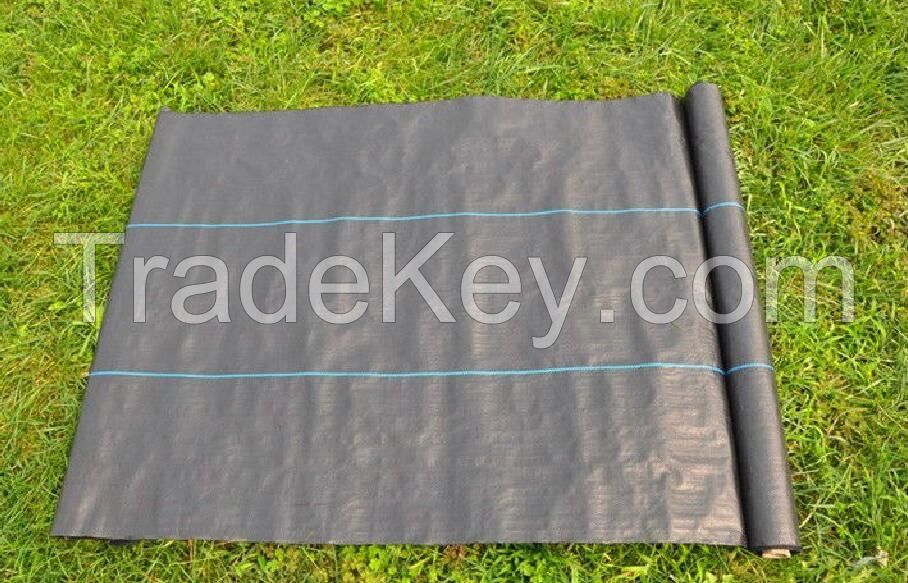 Heavy duty Uv resistance grass control fabric supply with factory price