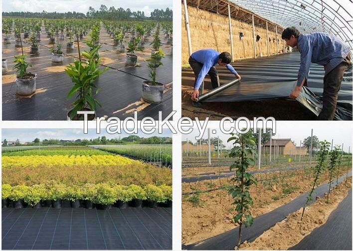 Heavy duty Uv resistance garden weed barrier supply with factory price