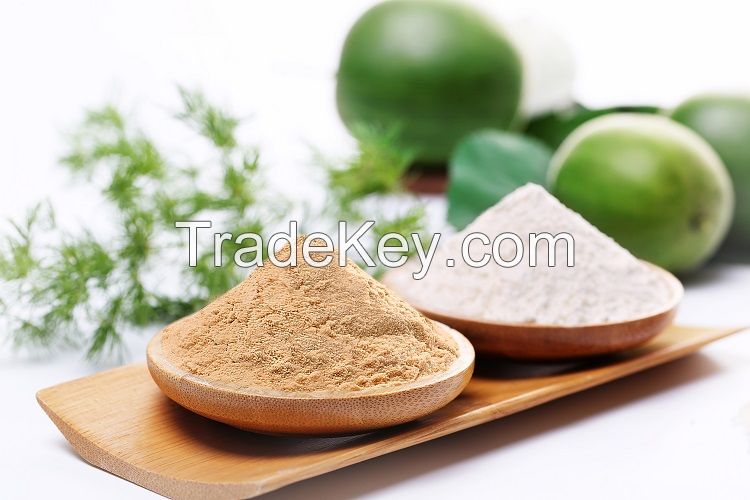Zero Calories Monk Fruit Extract Organic Sweetener Mogroside V 20%~60% High Quality Free Sample  manufacturer