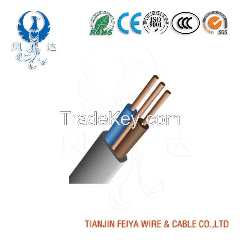 Feiya 2021 Australian Standard (Low Voltage) Industrial Cables PVC Insulated, 2 Core + E Flat Cables, 450/750V
