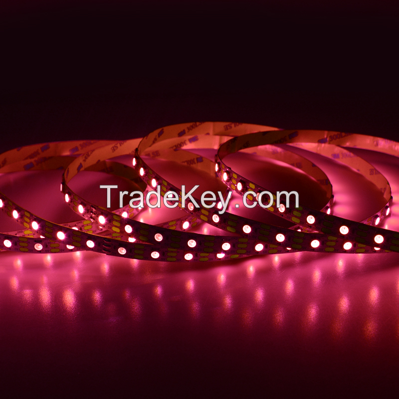 2021 High-quality Christmas Decorative Lights SK6812 Smart SMD5050 RGB LED Strip Lights