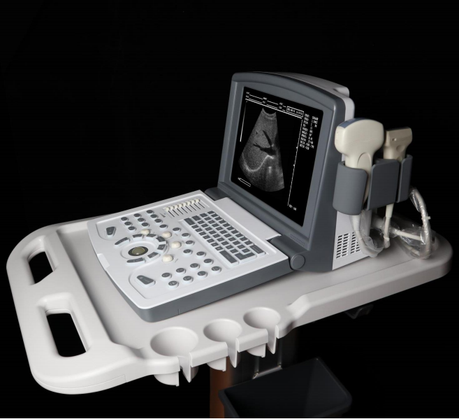 High Quality Bw Ultrasound Best Cost-effective Ultrasound For Human Good Ultrasound For Vet