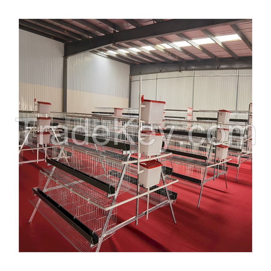 Layer Chicken Cage