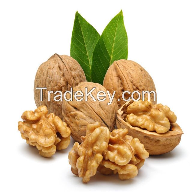 Factory Direct Sale Wholesale Price Healthy Nuts Inshell Walnuts And Walnuts Kernels