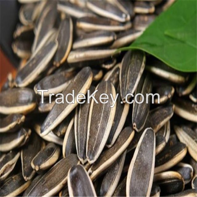 Large grain and low price sunflower seeds