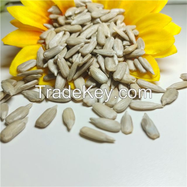 factory direct sales of large-grain sunflower kernels